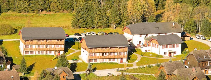 donnersbachwald_01